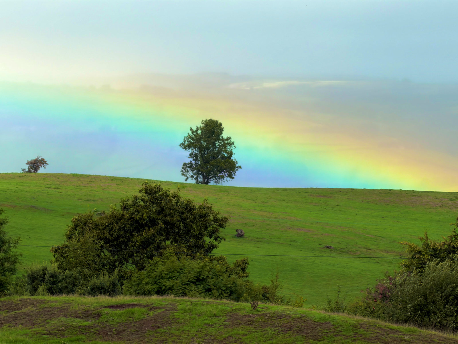 A rainbow arches over a tree and green fields