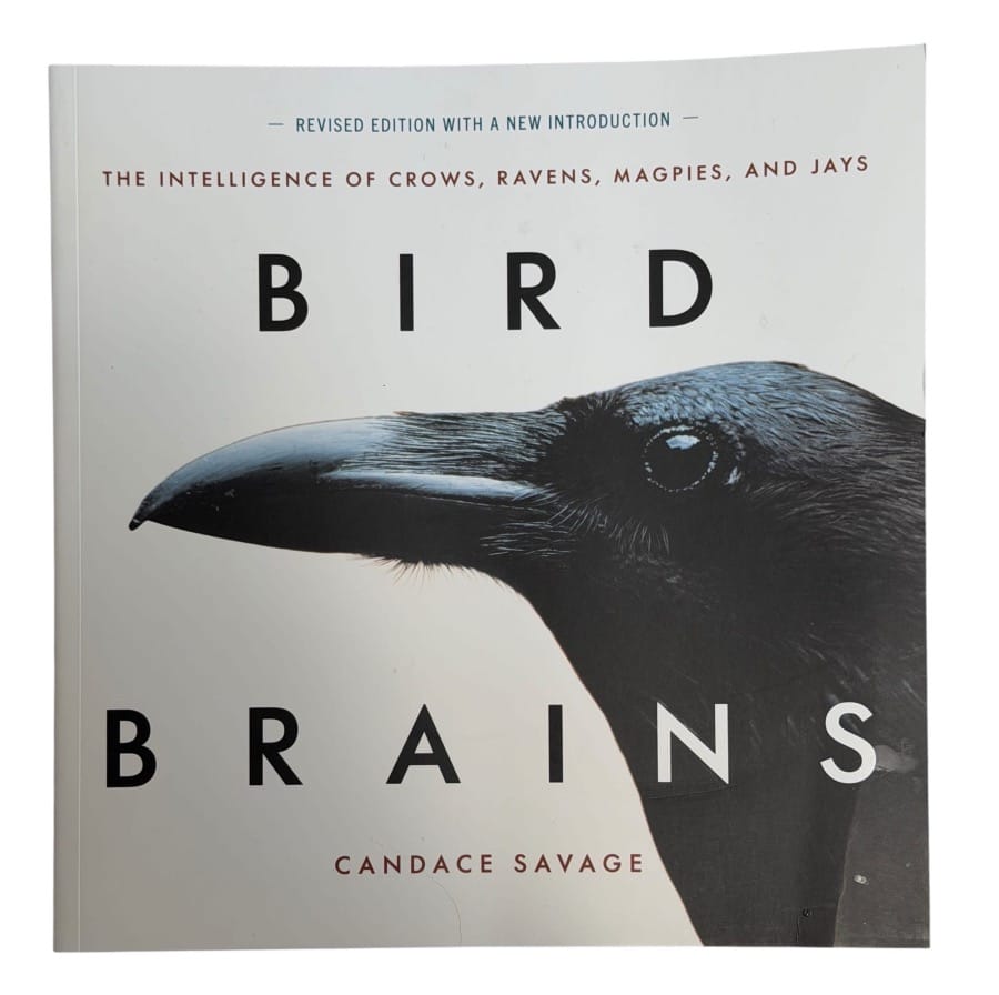Andy Marshall's Genius Loci Digest: 26 Sep 2025