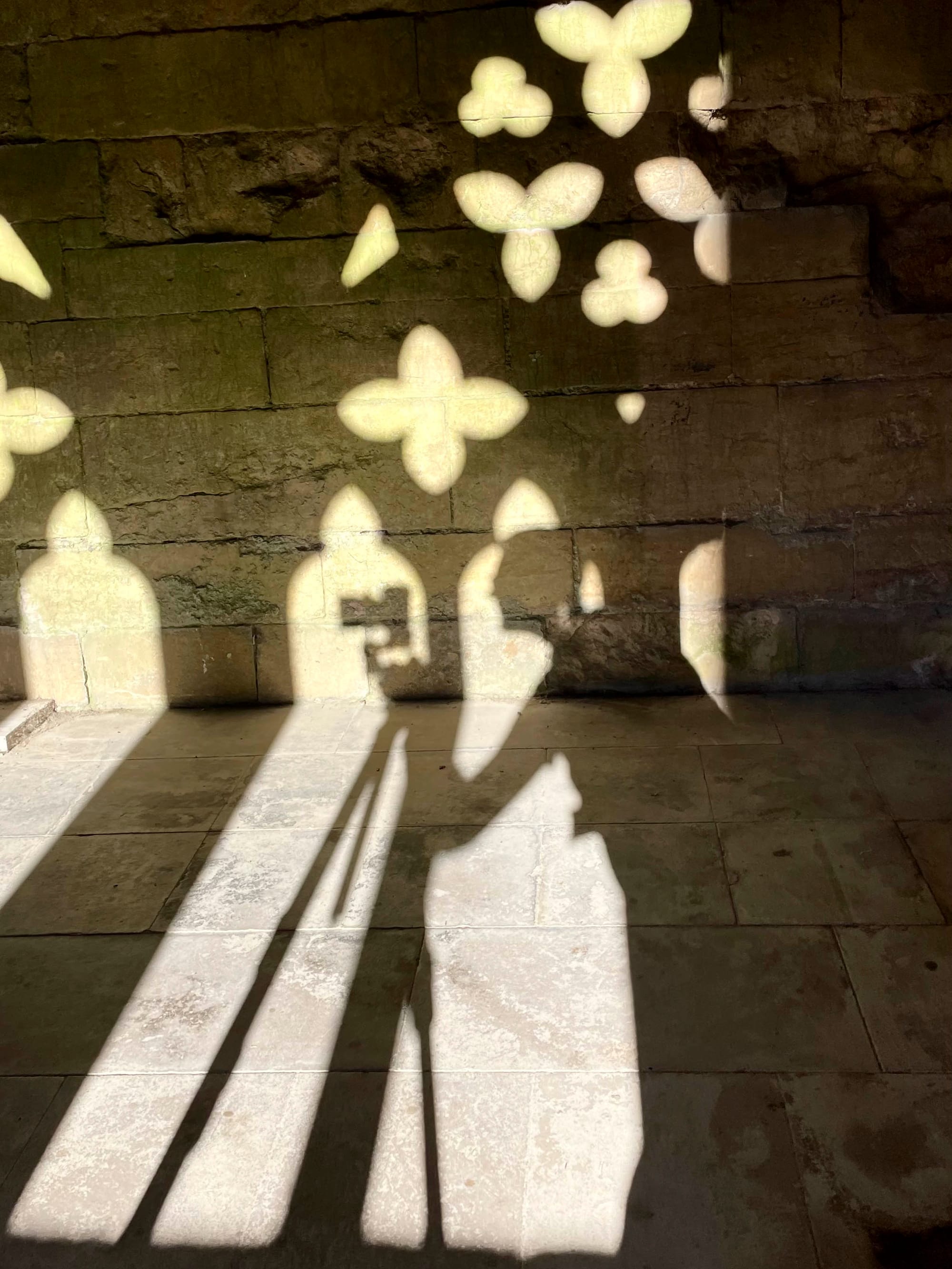 Holding the Light Through the Darker Days - a Gentle Invitation.