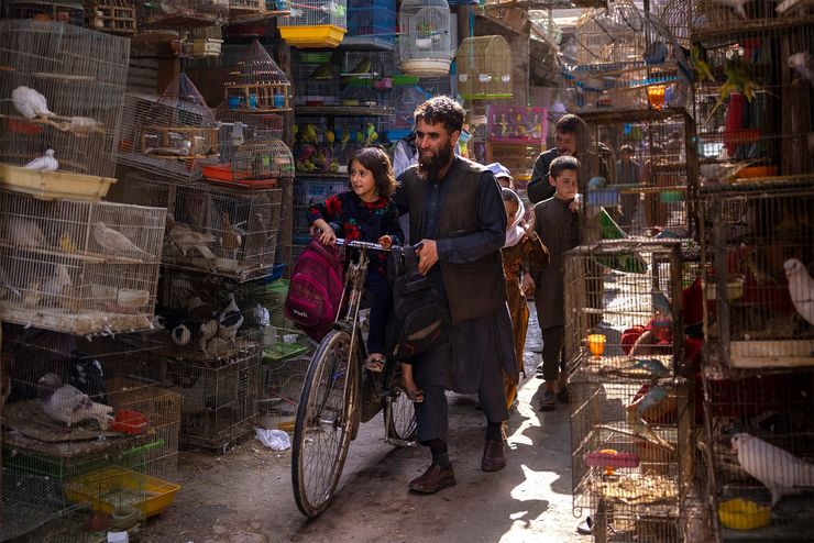A love letter to Kabul