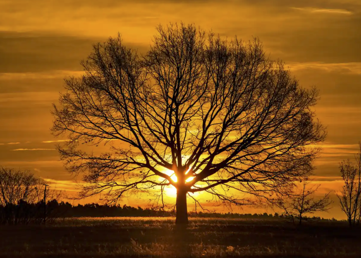 The Last of the Light: About Twilight by Peter Davidson review – a celebration of the skies | Science and nature books | The Guardian