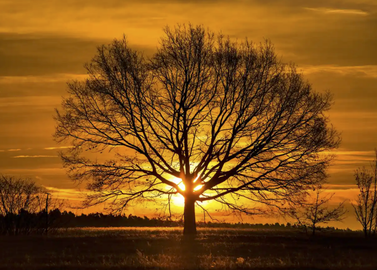 The Last of the Light: About Twilight by Peter Davidson review – a celebration of the skies | Science and nature books | The Guardian