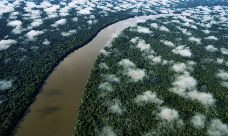 ‘Rivers run through us’: Willem Dafoe and Robert Macfarlane on why they made a film of the world’s great waterways | Movies | The Guardian