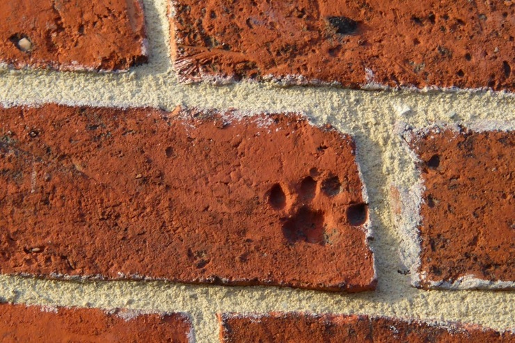 Hill Farm Derbyshire on Twitter: "Lovely - ours is above the front door and it always makes me smile.… "