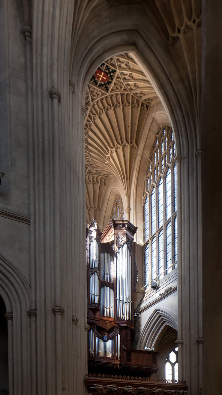 Andy Marshall 📸 on Twitter: "One for the early birds: Bath Abbey. I love this photo. It's as if the fan vaulting is the organ music frozen in time.… "