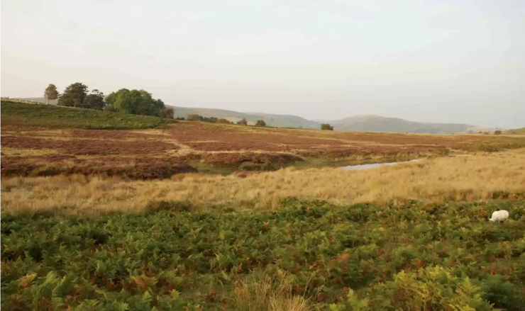 Country diary: In search of a hermit vicar’s home | Heritage | The Guardian