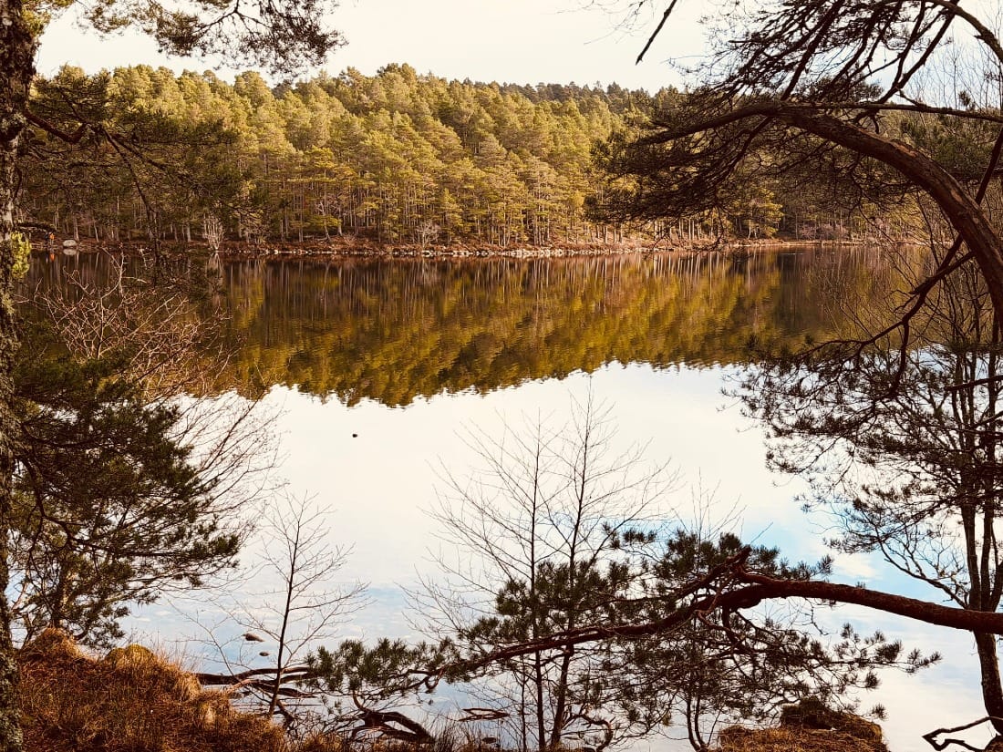 In Pursuit of Spring - Day Two