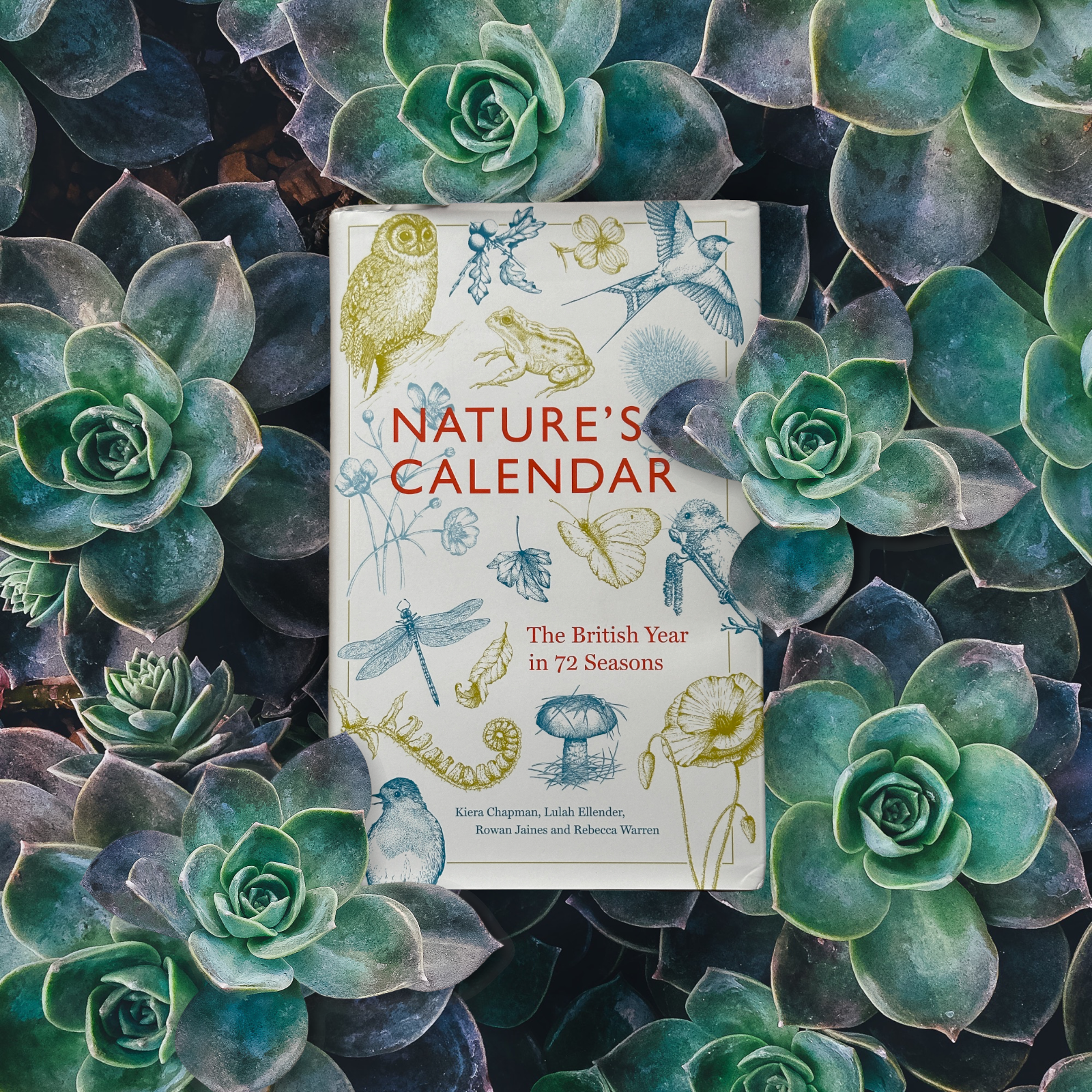 Nature's Calendar: The British Year in 72 Seasons