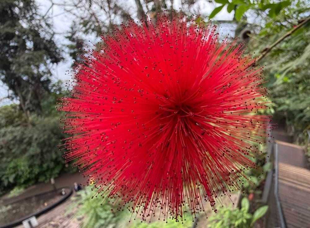 In Pursuit of Spring - Day Ten