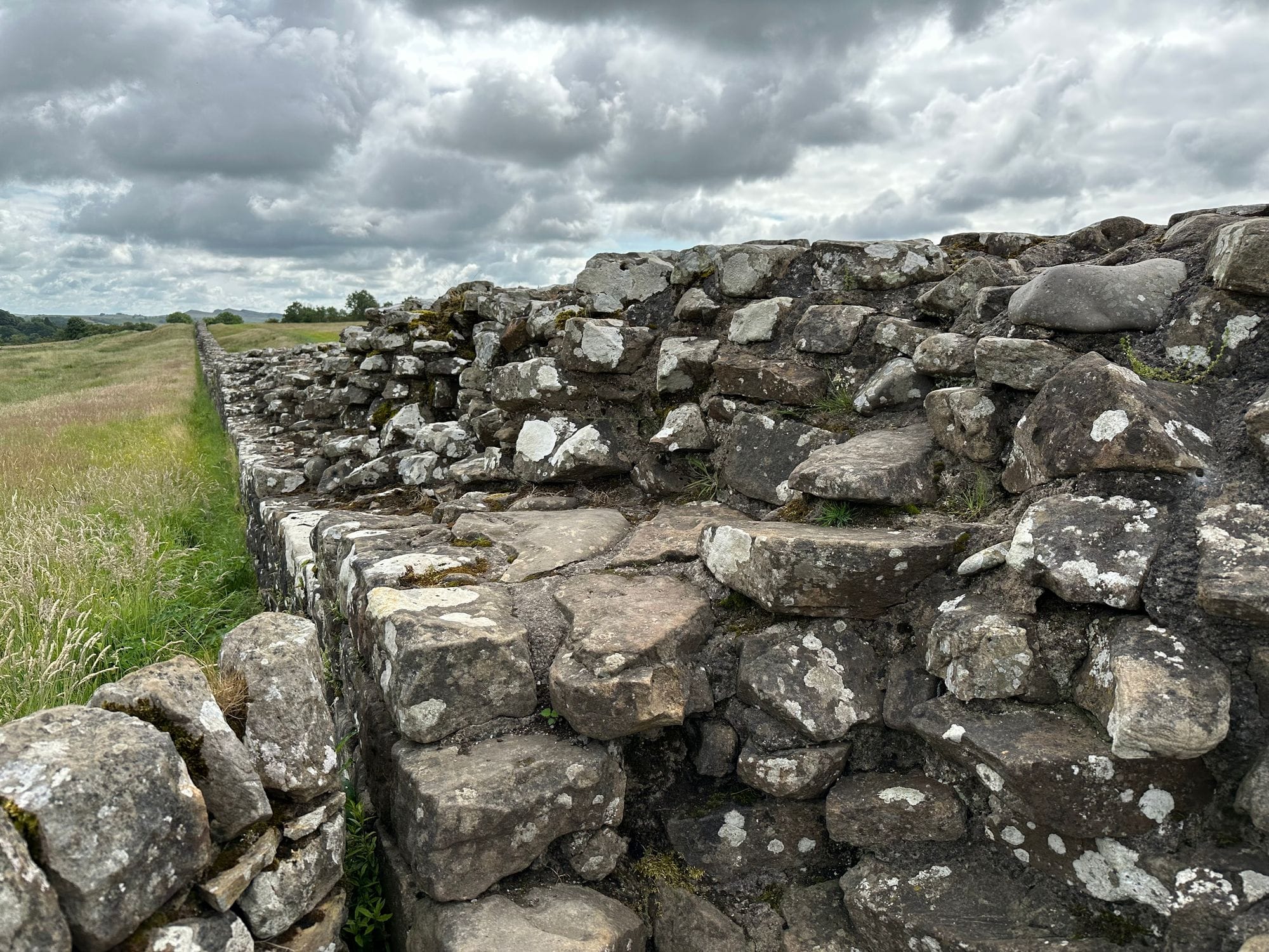 📍Loci: ✨The Sycamore Gap and the presence of absence.