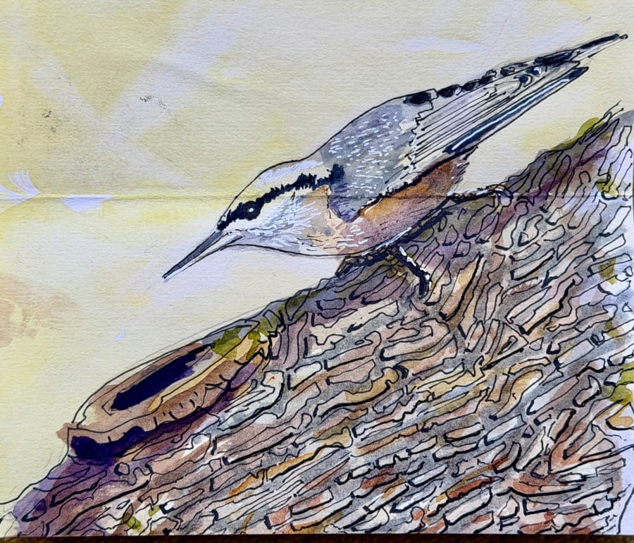 At The Turning of The Light - Fresh Horizons, Ways of Coping