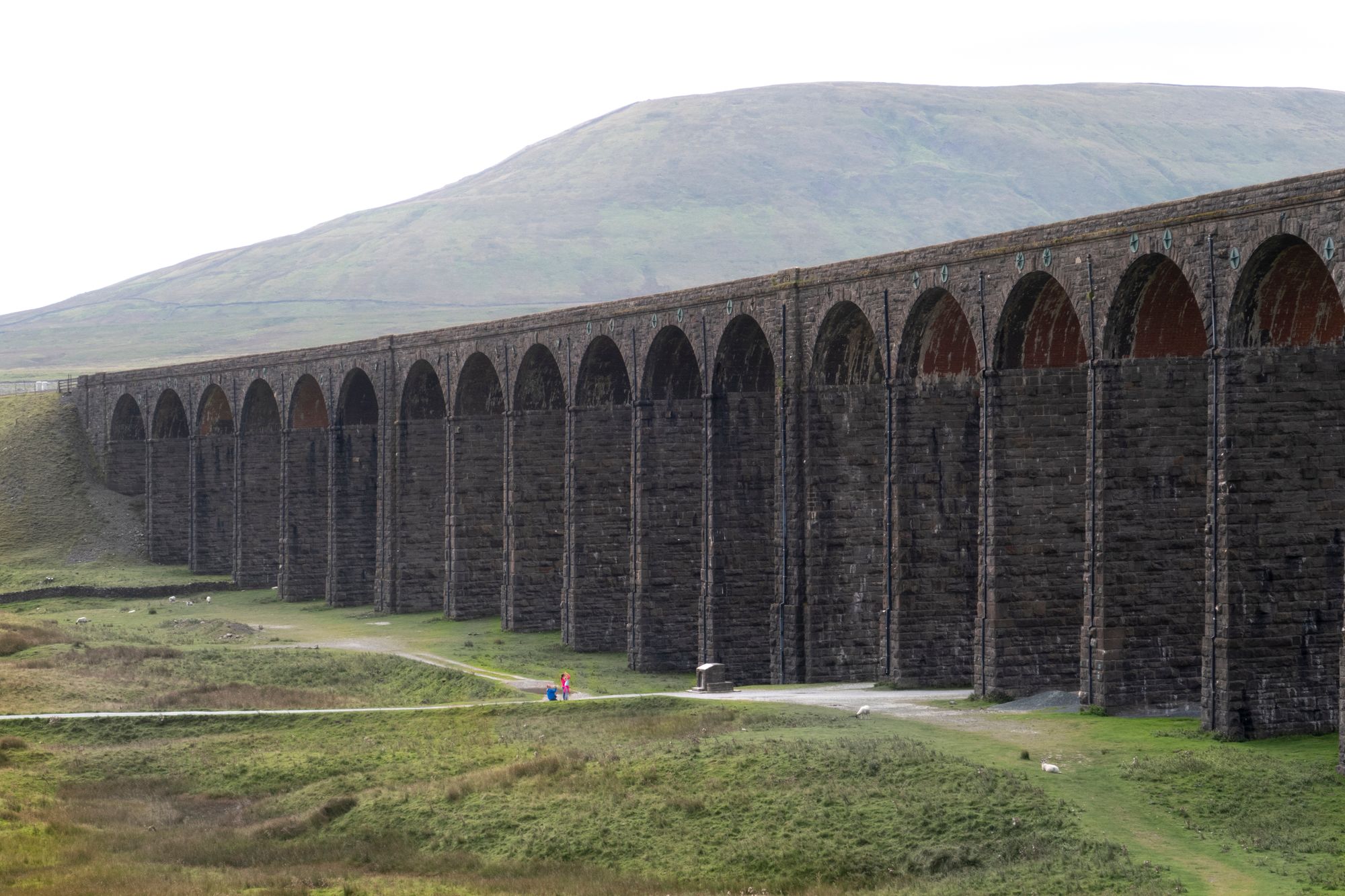 Whernside Words