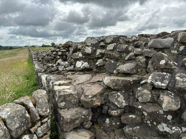 📍Loci: ✨The Sycamore Gap and the presence of absence.