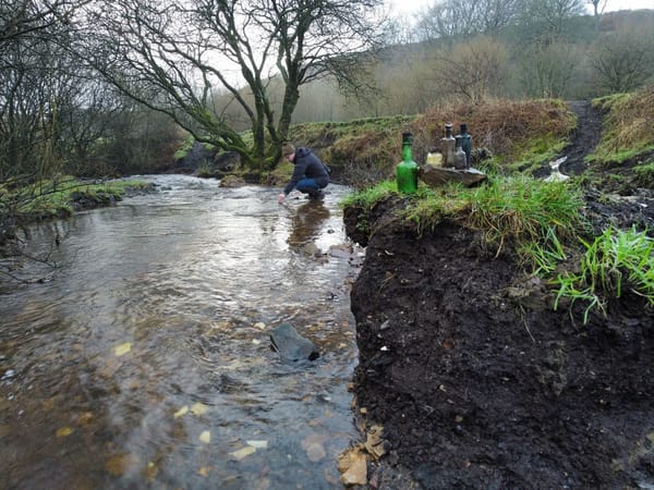 The Midden: Honouring the Human