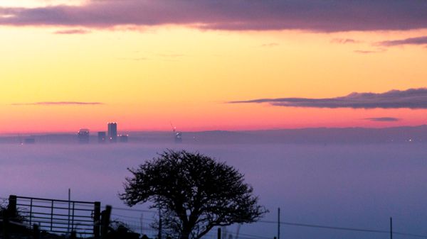 Tales from the fog bank